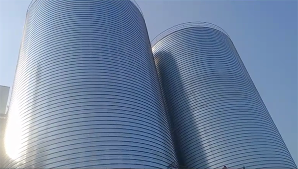 阳东2座混凝土高架卷板仓